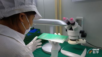 日韓貿(mào)易戰(zhàn)引爆NAND與DRAM雙漲效應(yīng)，財(cái)務(wù)咨詢視角分析