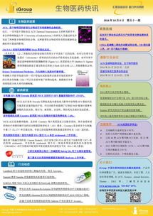 長煦信息技術咨詢 數(shù)字化轉型時代的專業(yè)引領者