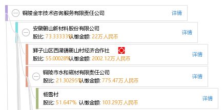 銅陵金豐技術咨詢服務有限責任公司 專業引領，技術賦能未來